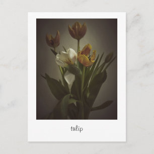 Carte Postale "tulip" de Heidi Rondak Photographie