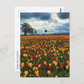 Carte Postale Tulip Farm (Devant / Derrière)