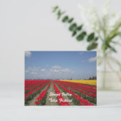 Carte Postale Tulip Festival, Skagit Valley, Tulip Festival (Debout devant)