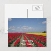 Carte Postale Tulip Festival, Skagit Valley, Tulip Festival (Devant / Derrière)