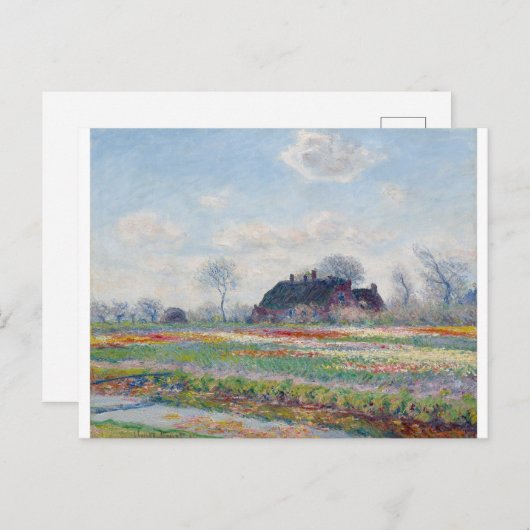 Carte Postale Tulip Fields at Sassenheim par Claude Monet (Devant / Derrière)