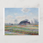 Carte Postale Tulip Fields at Sassenheim par Claude Monet (Devant)