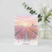 Carte Postale Tulip Fields Wmill Holland Pays-Bas (Debout devant)