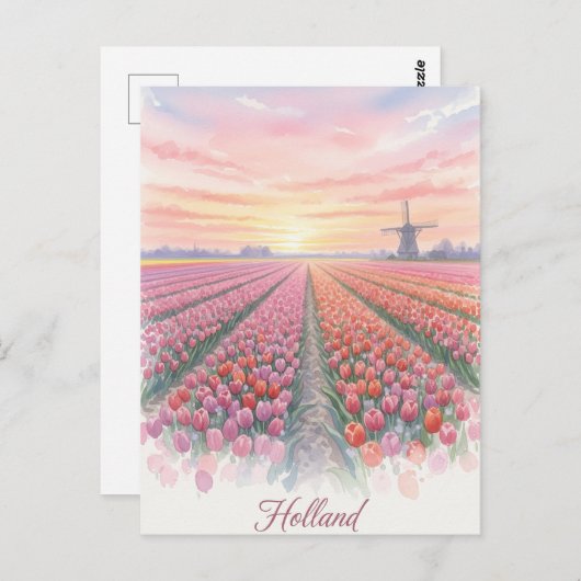 Carte Postale Tulip Fields Wmill Holland Pays-Bas (Devant / Derrière)