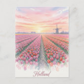 Carte Postale Tulip Fields Wmill Holland Pays-Bas (Devant)
