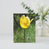 Carte postale Tulip Jaune (Debout devant)