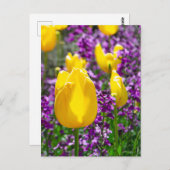 Carte postale Tulip Jaune (Devant / Derrière)