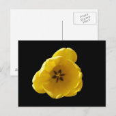 Carte postale Tulip Jaune (Devant / Derrière)