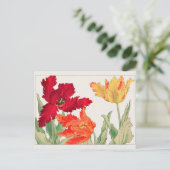 Carte Postale Tulip par Tanigami Konan (Debout devant)