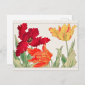 Carte Postale Tulip par Tanigami Konan (Devant / Derrière)