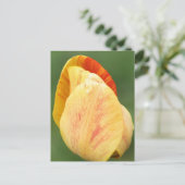 Carte Postale Tulip Petals Flower Photography Personalized (Debout devant)