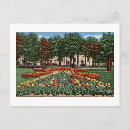 Carte Postale Tulip Time Holland, Michigan (Devant)