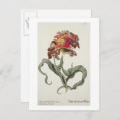 Carte Postale Tulipa Monstrosa Rubra Maior from 'Phythanthoza (Devant / Derrière)