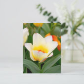 Carte Postale Tulipe (Debout devant)