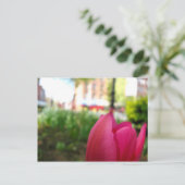 Carte Postale tulipe (Debout devant)