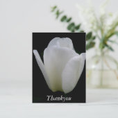 Carte Postale Tulipe blanche (Debout devant)