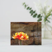 Carte Postale Tulipe brillante (Debout devant)