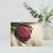 Carte Postale Tulipe (carte postale) (Debout devant)