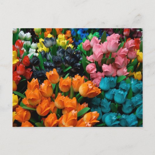 Carte Postale Tulipe d'Amsterdam (Devant)