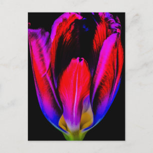 Carte Postale Tulipe de Neon Glow