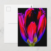 Carte Postale Tulipe de Neon Glow (Devant / Derrière)