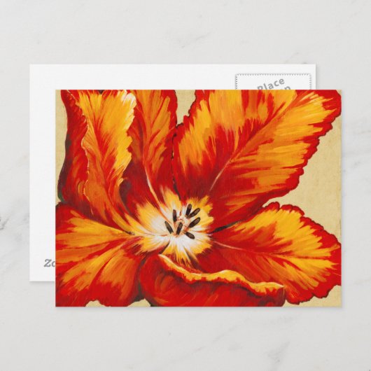 Carte Postale Tulipe de perroquet I (Devant / Derrière)