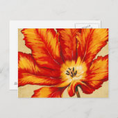 Carte Postale Tulipe de perroquet II (Devant / Derrière)