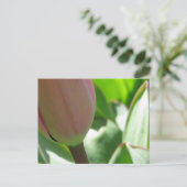 Carte Postale Tulipe de printemps (Debout devant)