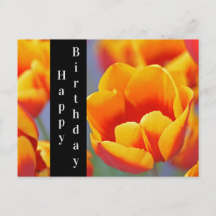 Carte Postale Tulipe élégante jaune et rouge Joyeux Anniversaire