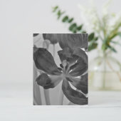 Carte Postale Tulipe en noir et blanc (Debout devant)