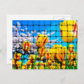 Carte Postale Tulipe jaune (Devant / Derrière)