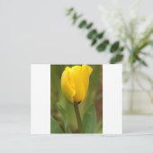 Carte Postale Tulipe jaune (Debout devant)