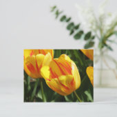 Carte Postale Tulipe Jaune Variée (Debout devant)