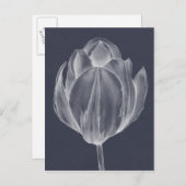 Carte Postale Tulipe monochrome I (Devant / Derrière)