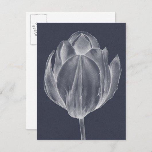 Carte Postale Tulipe monochrome I (Devant / Derrière)