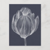 Carte Postale Tulipe monochrome I (Devant)
