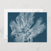 Carte Postale Tulipe monochrome II (Devant / Derrière)