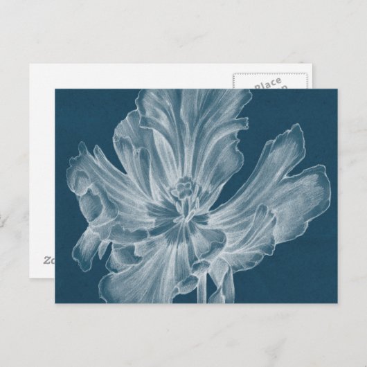 Carte Postale Tulipe monochrome II (Devant / Derrière)