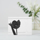 Carte Postale Tulipe noire | (Debout devant)