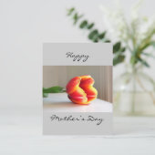 Carte Postale Tulipe orange (Debout devant)