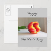 Carte Postale Tulipe orange (Devant / Derrière)