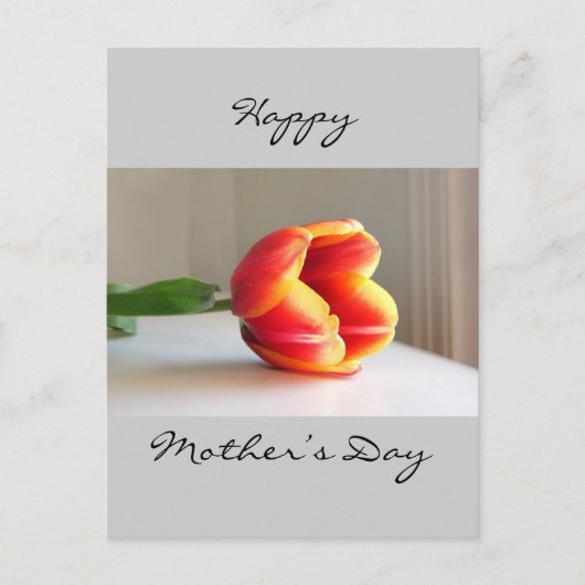 Carte Postale Tulipe orange (Devant)