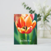 Carte postale tulipe orange (Debout devant)