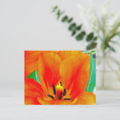 Carte Postale Tulipe orange (Debout devant)