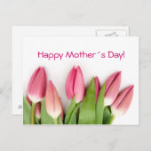 Carte postale tulipe rose (Devant / Derrière)