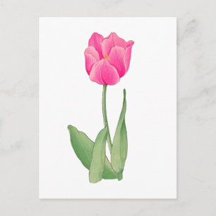 Carte Postale Tulipe rose, art japonais vintage 12 x 1`6
