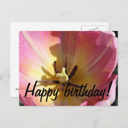 Carte Postale Tulipe rose et jaune (Devant / Derrière)