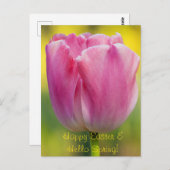 Carte postale Tulipe rose printemps (Devant / Derrière)