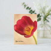 Carte Postale Tulipe rose unique (Debout devant)