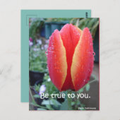 Carte Postale Tulipe rouge et gouttes de pluie florale Soyez fid (Devant / Derrière)